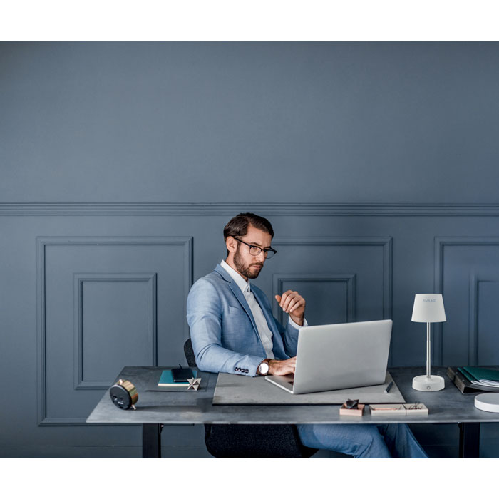 TAPLAMB - Billede 22