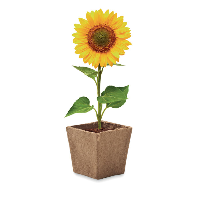 SUNFLOWER KIT - Billede 3