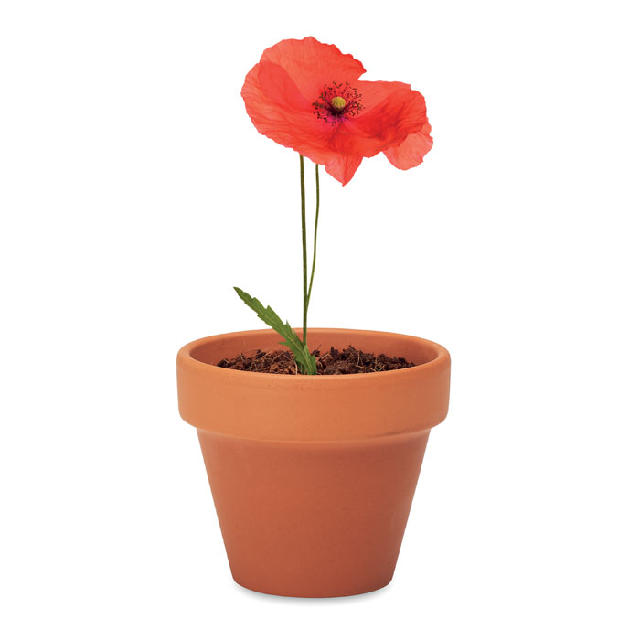 RED POPPY - Billede 4