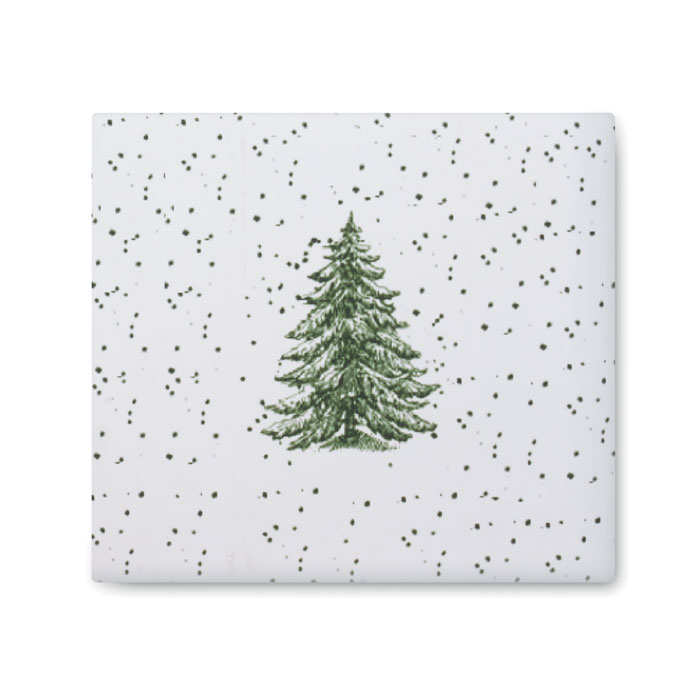 FESTIMUG - Billede 29